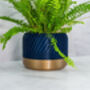 Midnight Tread Planter, thumbnail 4 of 4