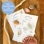 Personalised Daddy And Me Beach Finds Kit With Bag And Scavenger Hunt, thumbnail 2 of 6