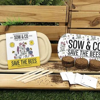 Save The Bees Seed Set, 2 of 5