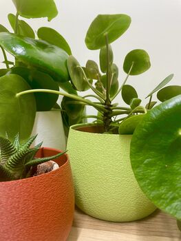 Vibrant House Plant Pot Gardening Gifts Lightweight Planter, 7 of 7