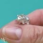 Guinea Pig Sterling Silver Charm, thumbnail 1 of 8