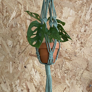 Mini Recycled Macramé Plant Hanger, 6 of 11