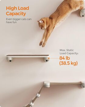 Set Of Five Cat Wall Furniture Washable Parts, 4 of 7