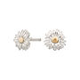 Sterling Silver Daisy Jewellery Set With Stud Earrings, thumbnail 10 of 10