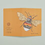 Pack Of Eight Greeting Cards Of British Insects, thumbnail 3 of 10