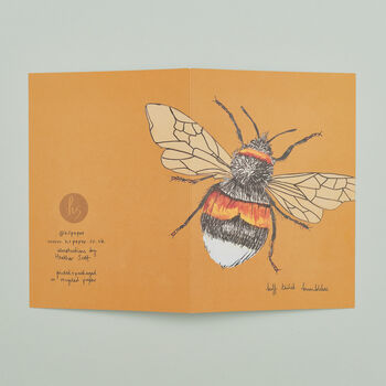 Pack Of Eight Greeting Cards Of British Insects, 3 of 9