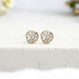 Yellow Gold Plated April Cubic Zirconia Birthstone Stud Earrings, thumbnail 1 of 8