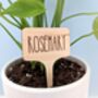 Five Personalized Plant Marker Garden Herb Marker Tags, thumbnail 6 of 12