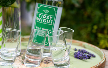 Wild Mint And Cucumber Vodka Liqueur And Shot Glass Set, 4 of 7
