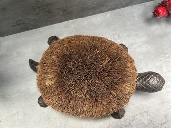 Cast Iron Tortoise Boot Scraper – Shoe Brush, 7 of 12