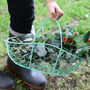 Vintage Green Garden Gathering Basket, thumbnail 1 of 4