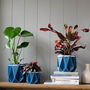 Origami Self Watering Eco Plant Pot: 18cm | Navy, thumbnail 5 of 10