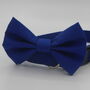 Bright Blue Dog Bow Tie, thumbnail 3 of 7