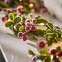 Hambledon Berry LED Christmas Garland, thumbnail 4 of 5