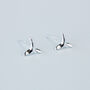 Sterling Silver Fish Tail Stud Earrings, thumbnail 2 of 5