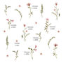 Flowers And Leaves Wall Stickers, thumbnail 4 of 6