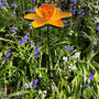 Cast Iron Daffodil Garden Sculpture Bird Feeder, thumbnail 3 of 4