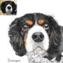 Personalised Watercolour Pet Portrait, thumbnail 6 of 12