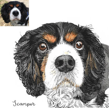 Personalised Watercolour Pet Portrait, 6 of 12