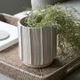 Decorative White Ribbed Stoneware Pot, thumbnail 1 of 2