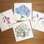 Set Of Four Botanical Art Floral Blank Cards, thumbnail 1 of 6