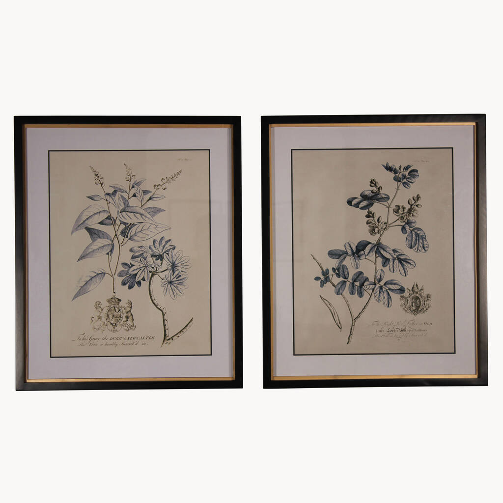 Brookby Set Of Two Framed Botanical Wall Art By One.World ...