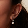 Silver Pearl Drop Earring With Circle, thumbnail 1 of 4