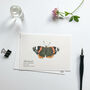 ‘Butterflies’ Set Of Hand Illustrated Postcards, thumbnail 5 of 6