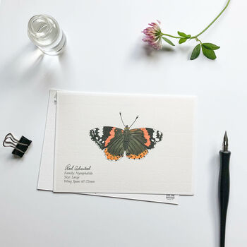 ‘Butterflies’ Set Of Hand Illustrated Postcards, 5 of 6