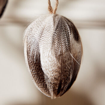 Set Of Three Hanging Eggs With Feathers, 6 of 6