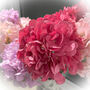 Hydrangea Without Leaf, thumbnail 2 of 3