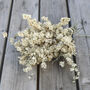 Icing Sugar Shropshire Grown Delphinium Bunch, thumbnail 1 of 6