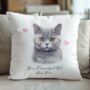 Personalised British Shorthair Cat Love Hearts Cushion Cover, thumbnail 2 of 2