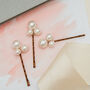 Set Of Three Large Pearl Cluster Bobby Pins, thumbnail 1 of 4