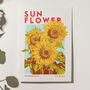 Sunflower Risograph Print, thumbnail 4 of 4