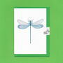 Hand Drawn Dragonfly Illustrated Blank Greeting Card, thumbnail 4 of 10
