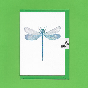 Hand Drawn Dragonfly Illustrated Blank Greeting Card, 4 of 10