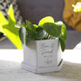 Personalised Anniversary Hexagon Plant Pot, thumbnail 2 of 11