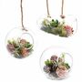 Ceramic Flower Decorate Your Table, Wall, Terrarium, thumbnail 10 of 10