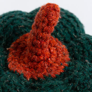Pumpkin Duo Easy Crochet Kit, 6 of 8