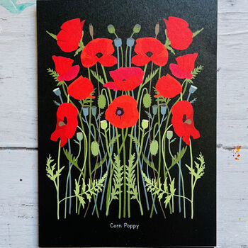 Wildflower Illustrated Postcards, 3 of 9