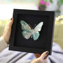 Personalised Map Location Butterfly Print Gift, thumbnail 3 of 4