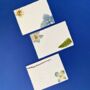 Pressed Flower Wedding Place Cards, thumbnail 3 of 4