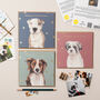 Street Vet Bella Charity Christmas Card With Gold Foil, thumbnail 3 of 3