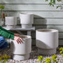 Noma Beige Footed Planter, thumbnail 8 of 8