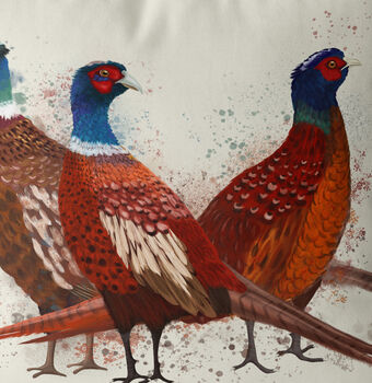 Pheasant Trio No2, British Wildlife Throw Cushion, 5 of 5