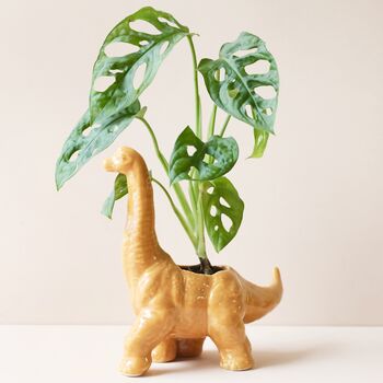 Ceramic Dinosaur Planter, 5 of 6