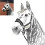 Personalised Watercolour Pet Portrait, thumbnail 9 of 12