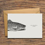 'Happy Birthday You Old Trout' Birthday Card, thumbnail 3 of 4