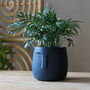 Blue Face Plant Pot, thumbnail 1 of 3